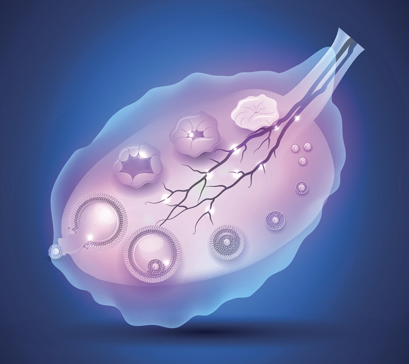 南昌市值得信赖的助孕机构 南昌助孕公司热门排行榜汇总